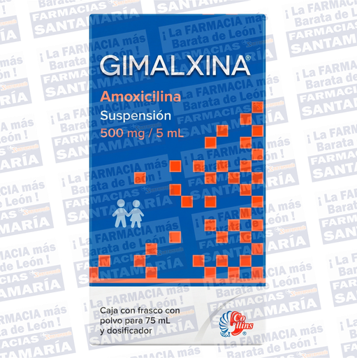 [A00000700000] AMOXICILINA 500MG SUSP